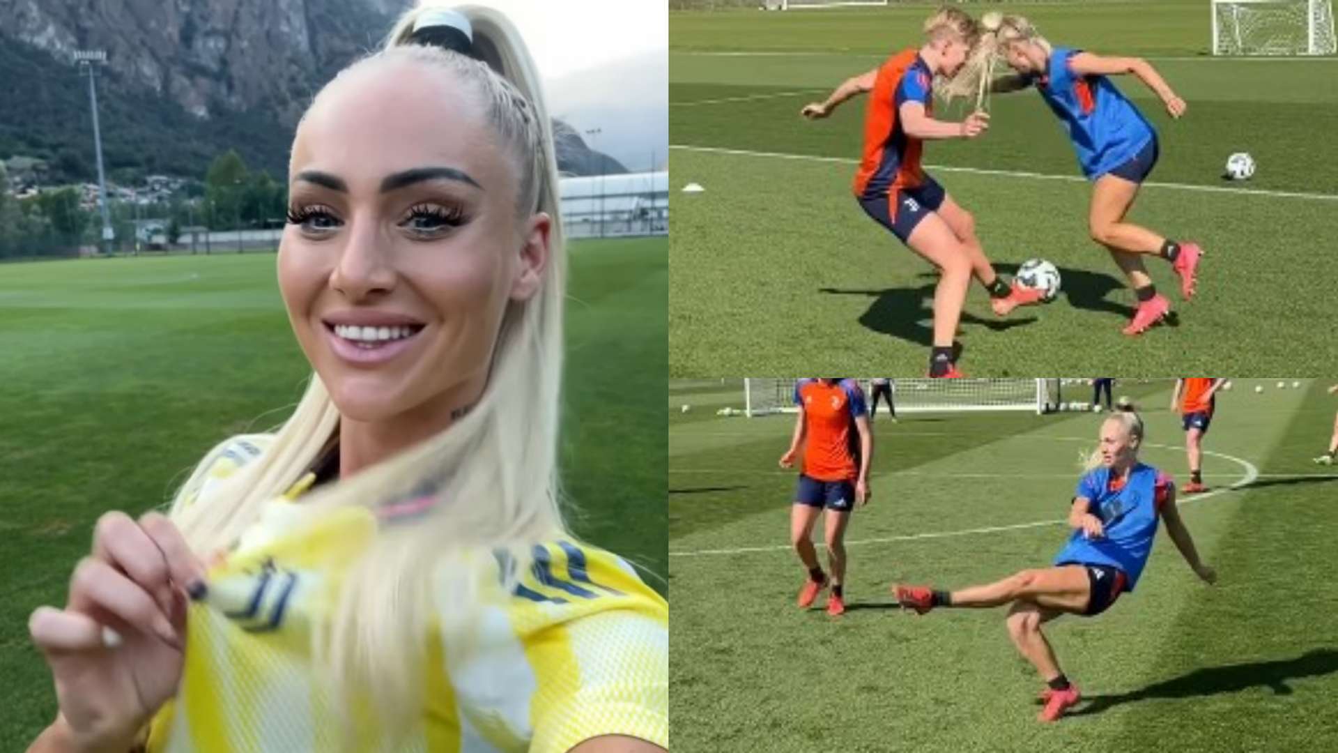 包括高科技 包括高科技